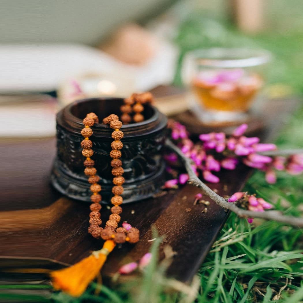 La infusión Creativa - Una Experiencia Sensorial